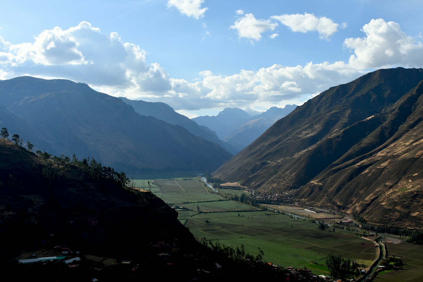 Photo by ALEJANDRO POHLENZ